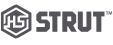 HS STRUT logo