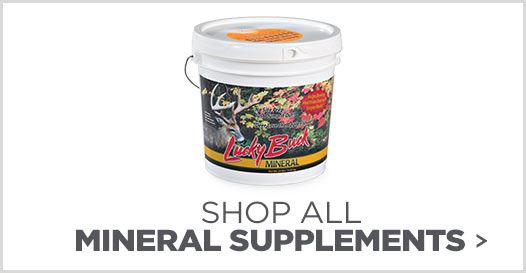Shop Mineral Attractants & Feed