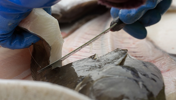 Fillet Knives Require Special Care