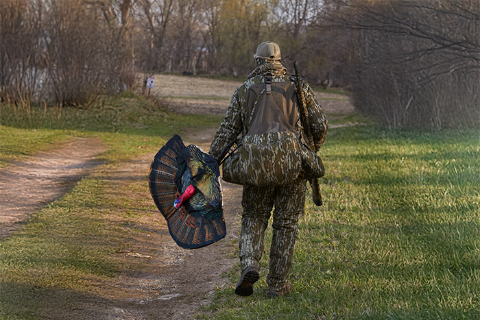 greg walking while turkey hunting with turkey decoy in hand