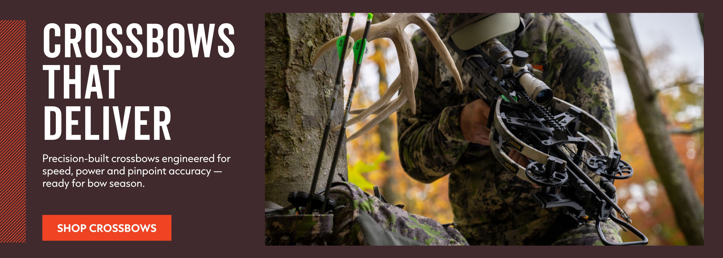 crossbow 