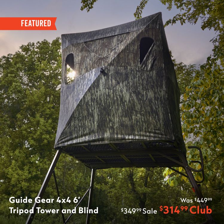 tree stand 