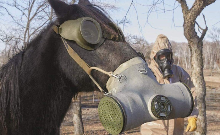 Popular Military Surplus Among Collectors, Part 3