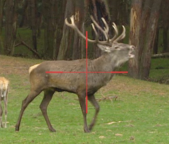 Recoil Activated Video