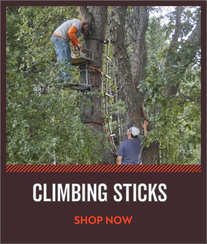 Climbing Sticks 