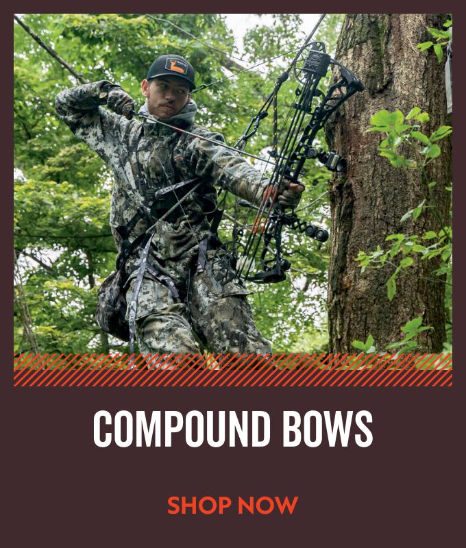 Compound Bows 