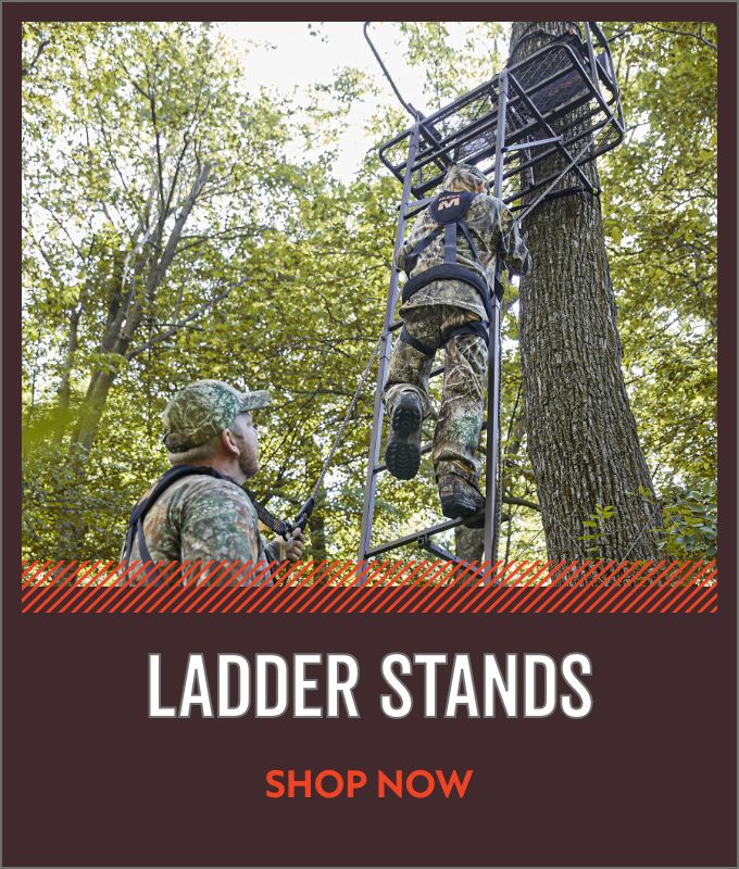 Ladder Stands
