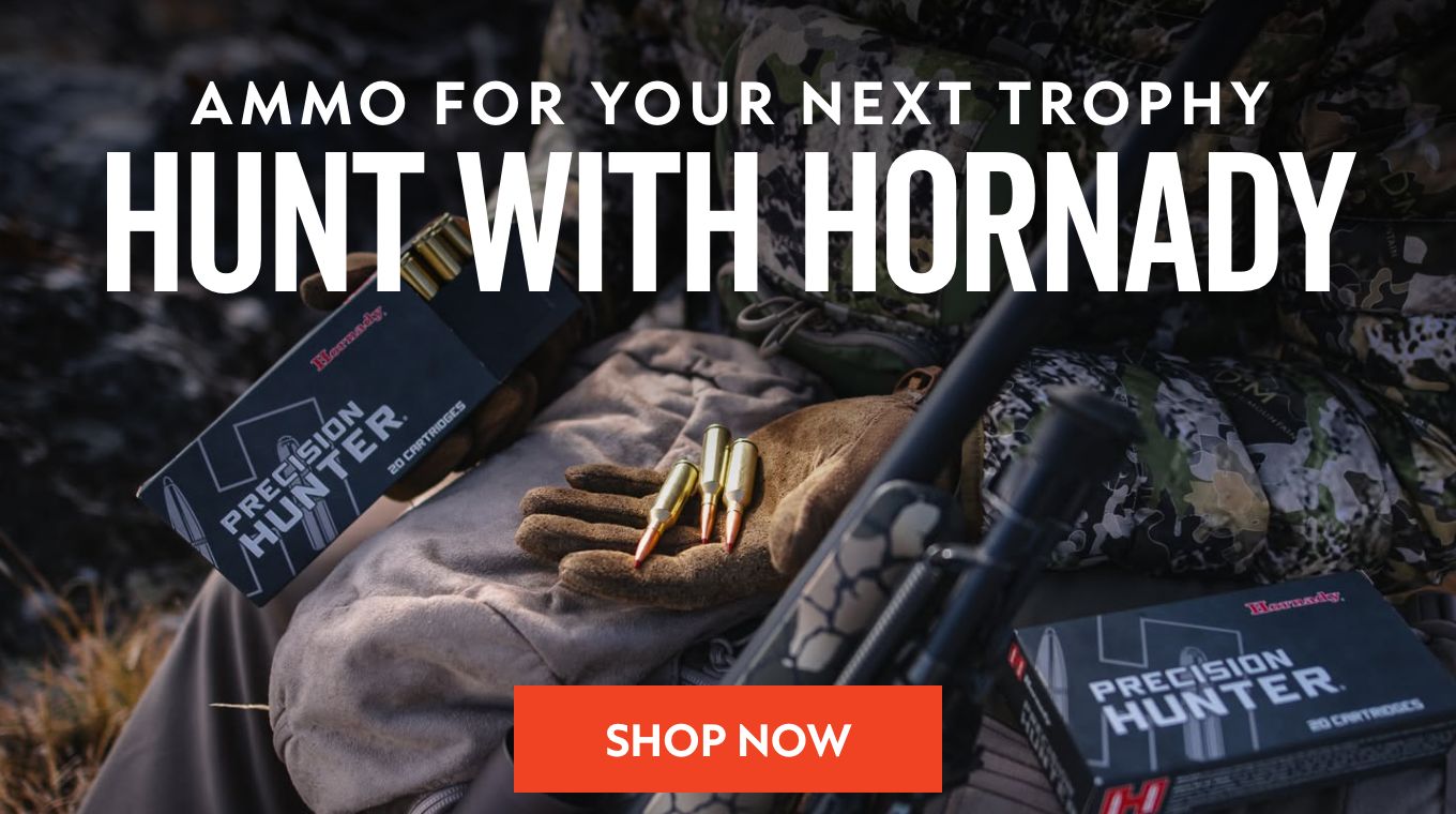 Hornady Amm