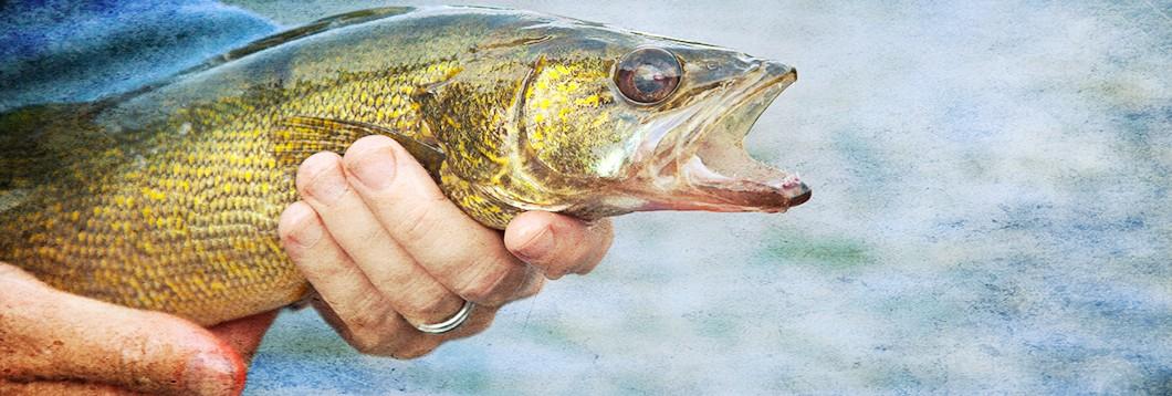 Lindy Rigging Walleyes, Plain And Simple | Sportsman's Guide