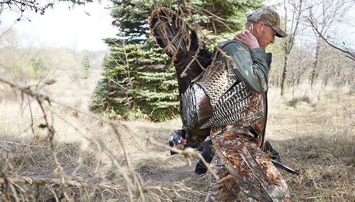 Spring Turkey Hunting Basics for Beginners: How to Get Started and Have a Successful Season 