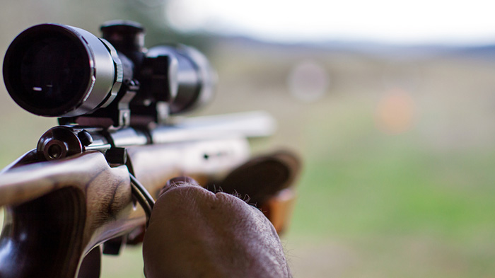 Controlled-Feed Bolt-Action Vs Push-Feed