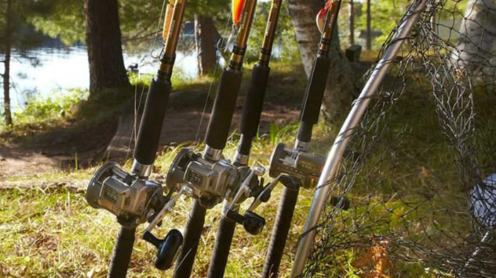 Types of Fishing Reels: The Complete Guide