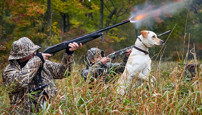 Sportsman's Guide - Outdoor & Hunting Gear, Guns, Ammo and Fishing