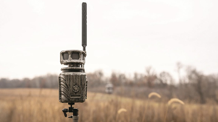 Get the Most out of Your Trail Camera