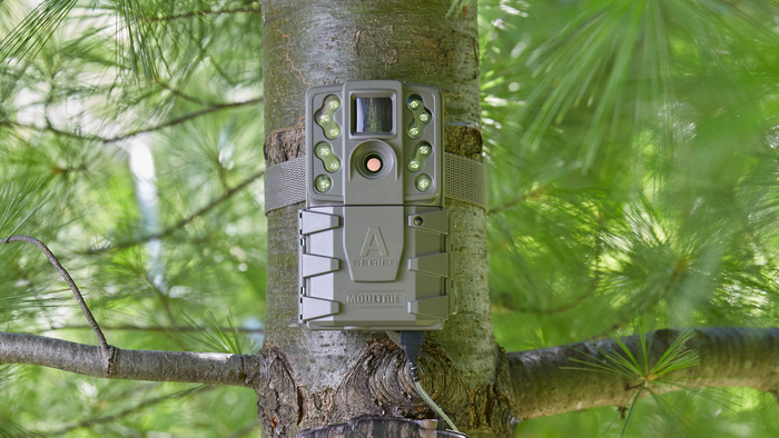 Trail Cam features to look for
