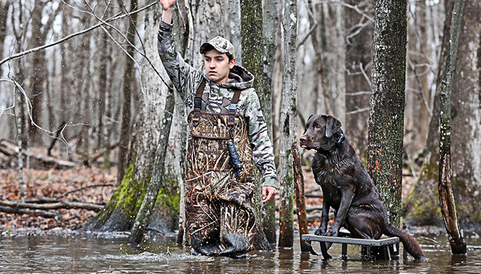 Training Your Dog to Hold Point: Part 1