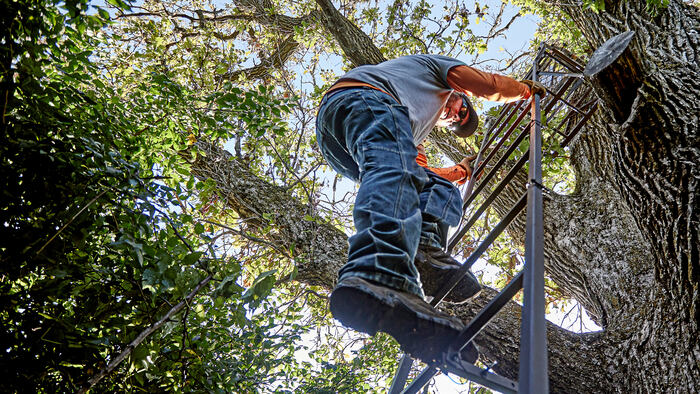 Tree Stand Placement Tips | Sportsman's Guide