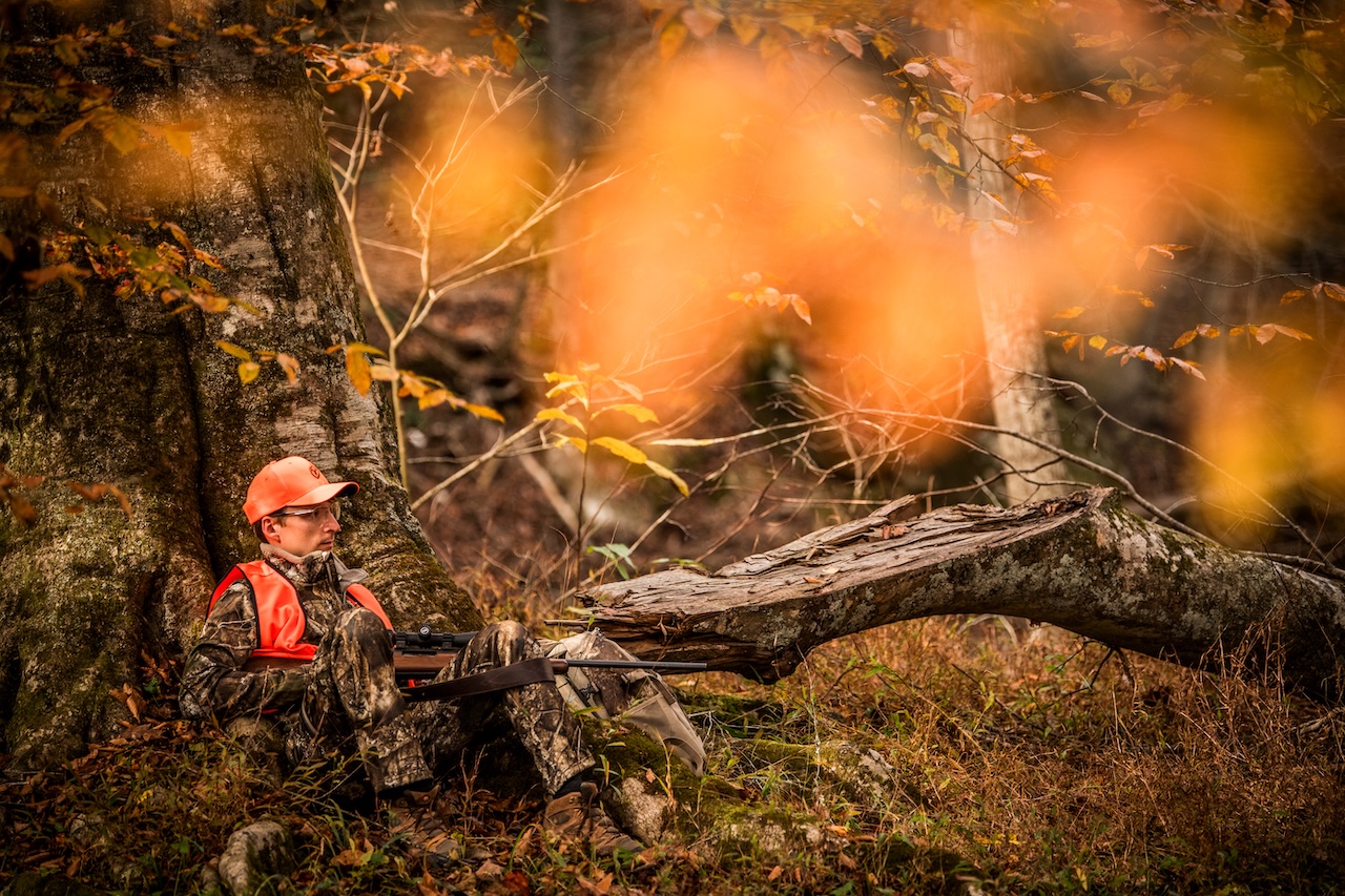 Whitetail Deer Hunting Tips That Actually Work By Season